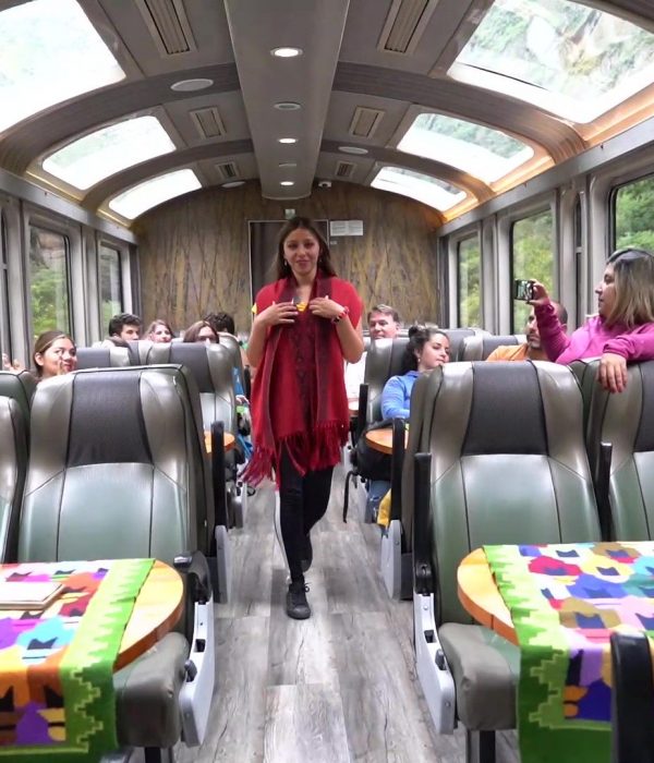 Trenes-Guia-video.jpg Trenes-Guia-video.jpg